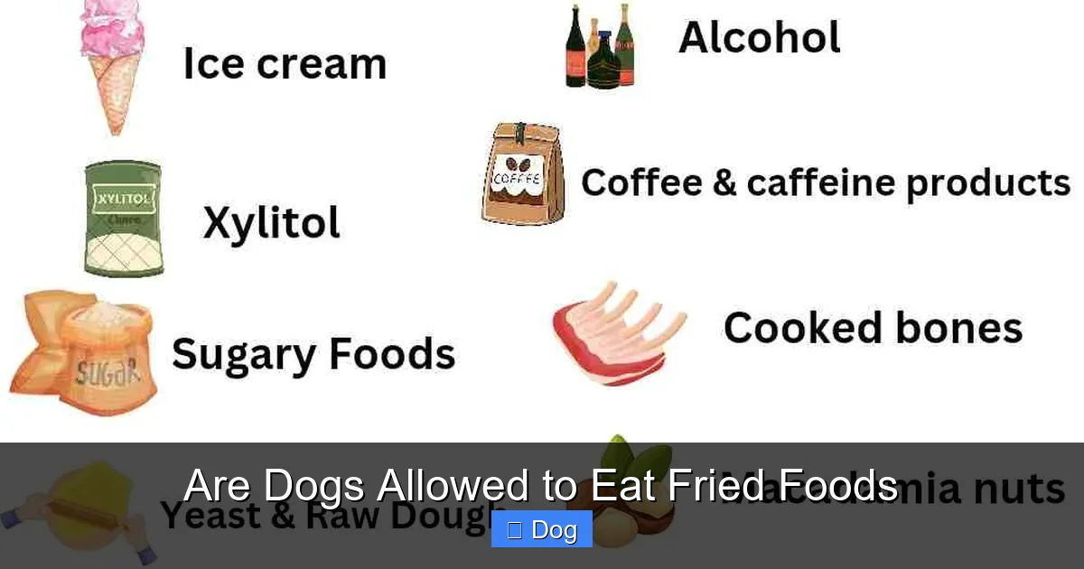 Are Dogs Allowed to Eat Fried Foods