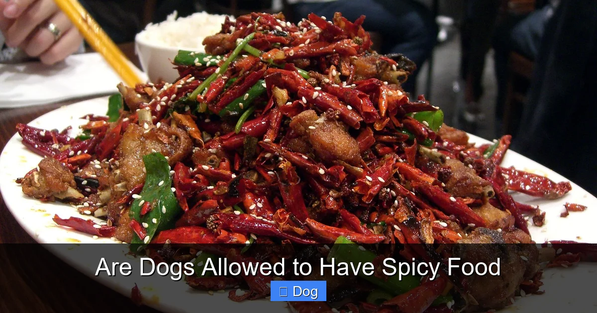 Are Dogs Allowed to Have Spicy Food