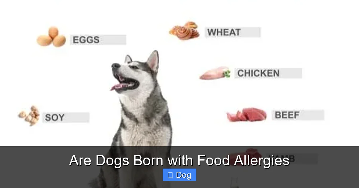 Are Dogs Born with Food Allergies