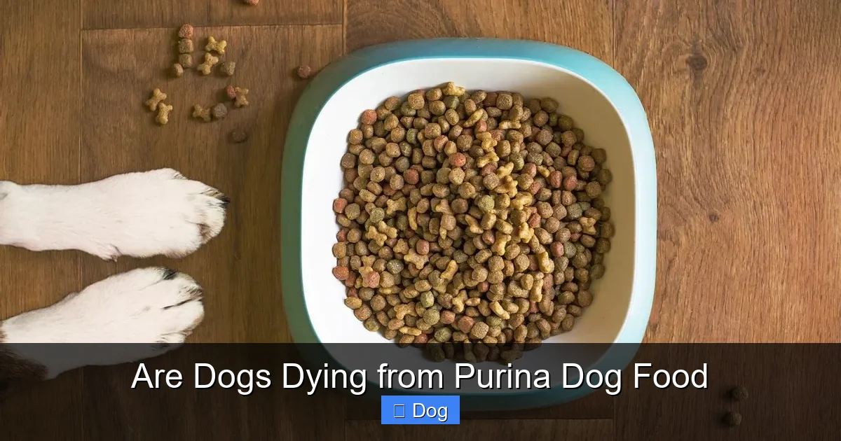 Are Dogs Dying from Purina Dog Food