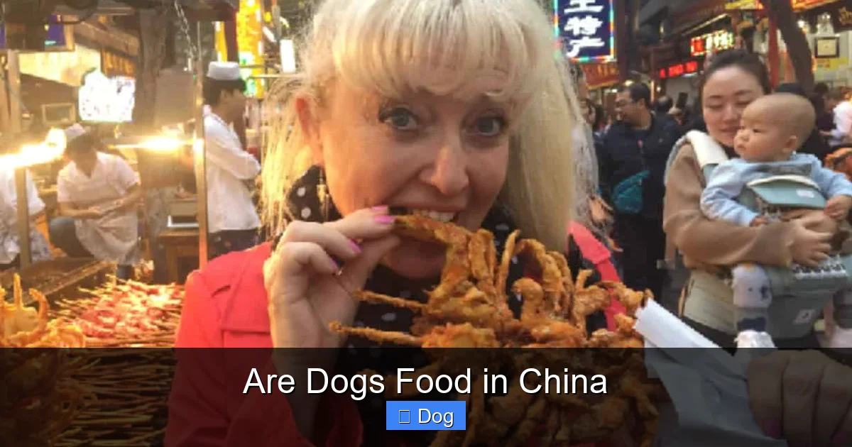 Are Dogs Food in China