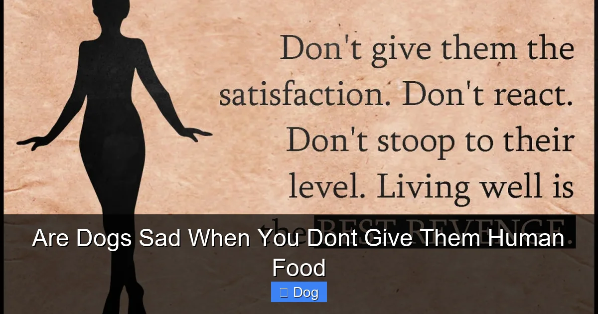 Are Dogs Sad When You Dont Give Them Human Food