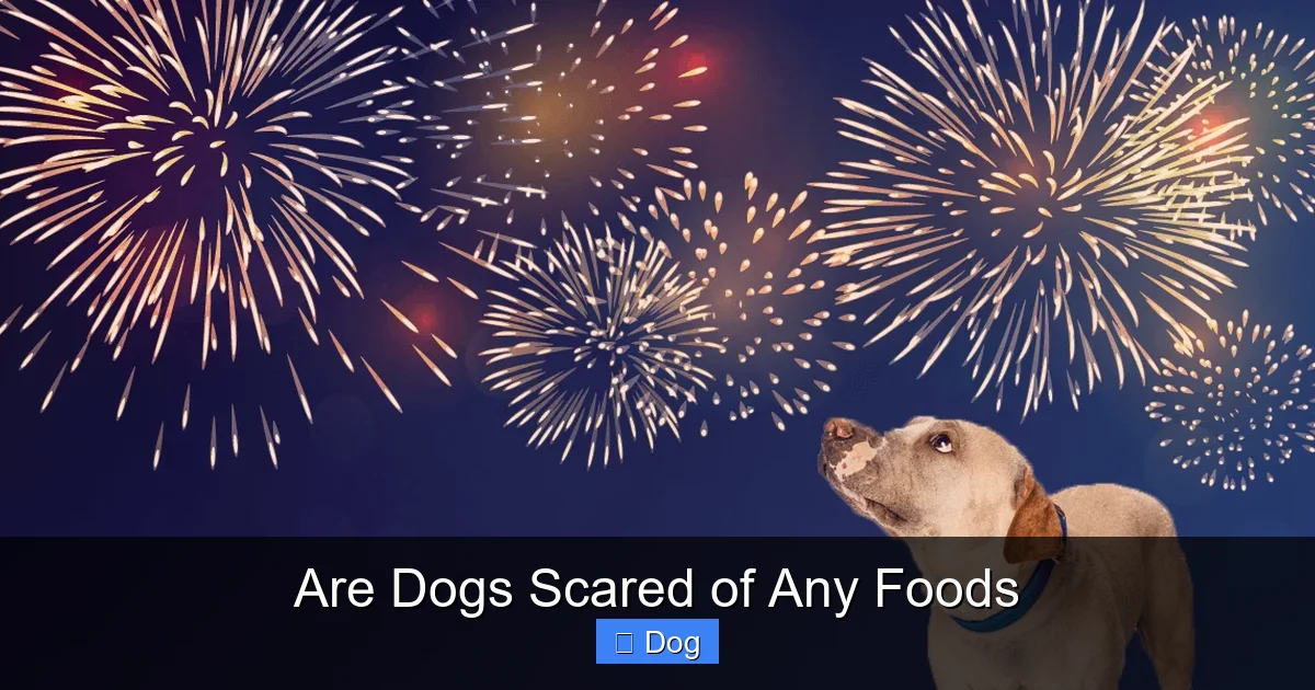 Are Dogs Scared of Any Foods