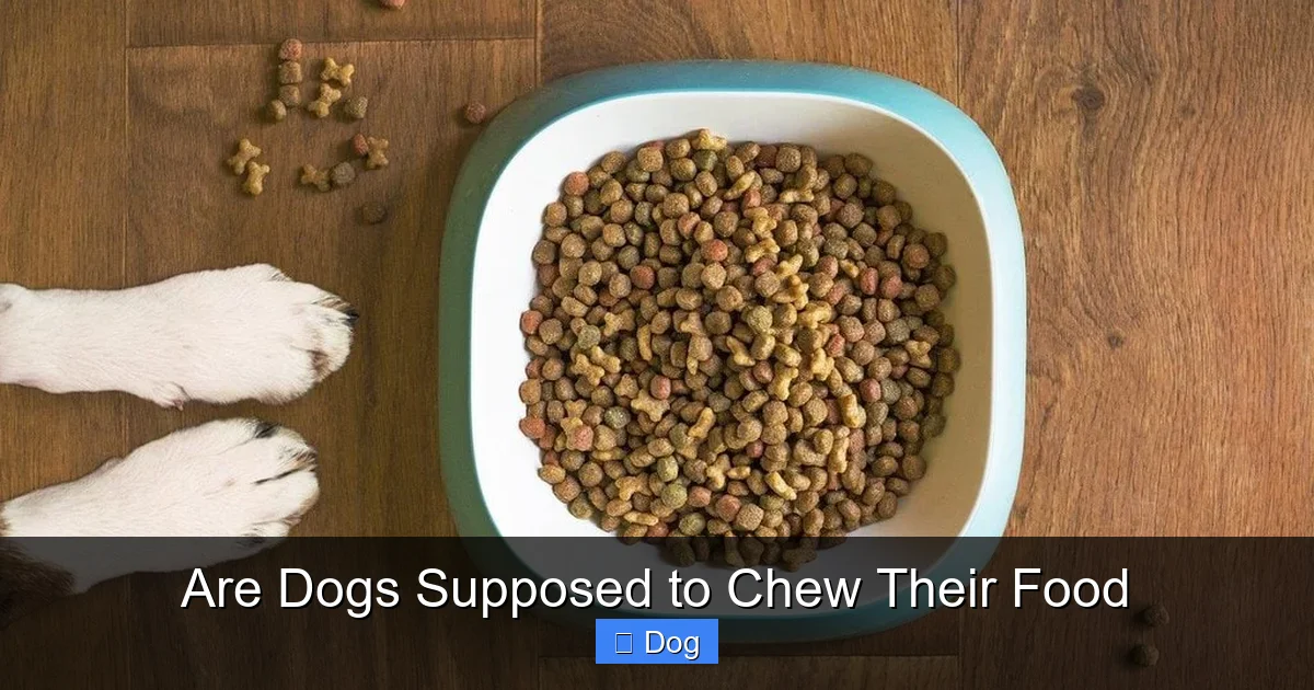 Are Dogs Supposed to Chew Their Food