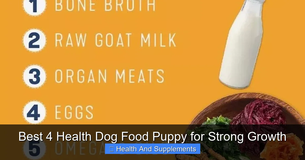 Best 4 Health Dog Food Puppy for Strong Growth