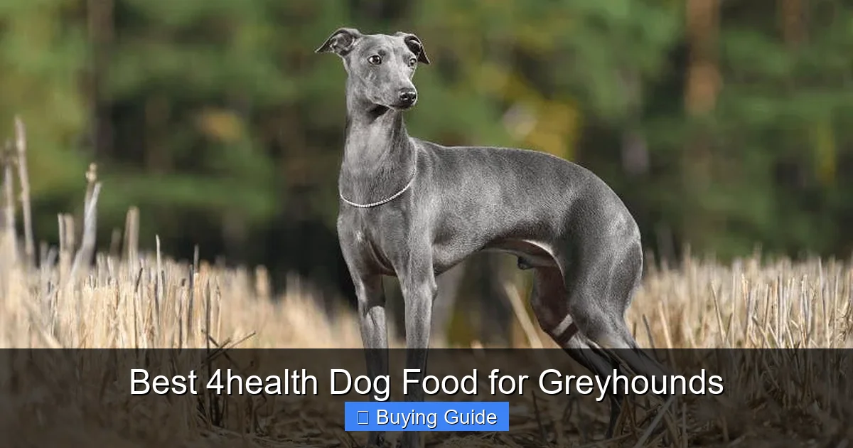 Best 4health Dog Food for Greyhounds