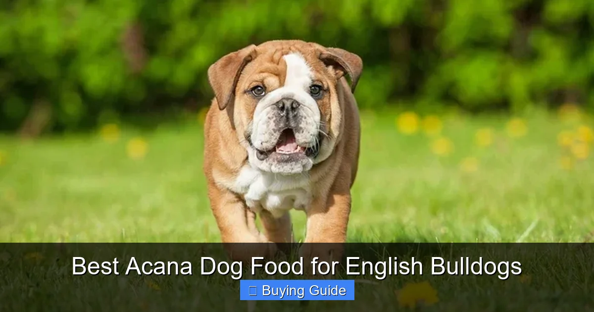 Best Acana Dog Food for English Bulldogs