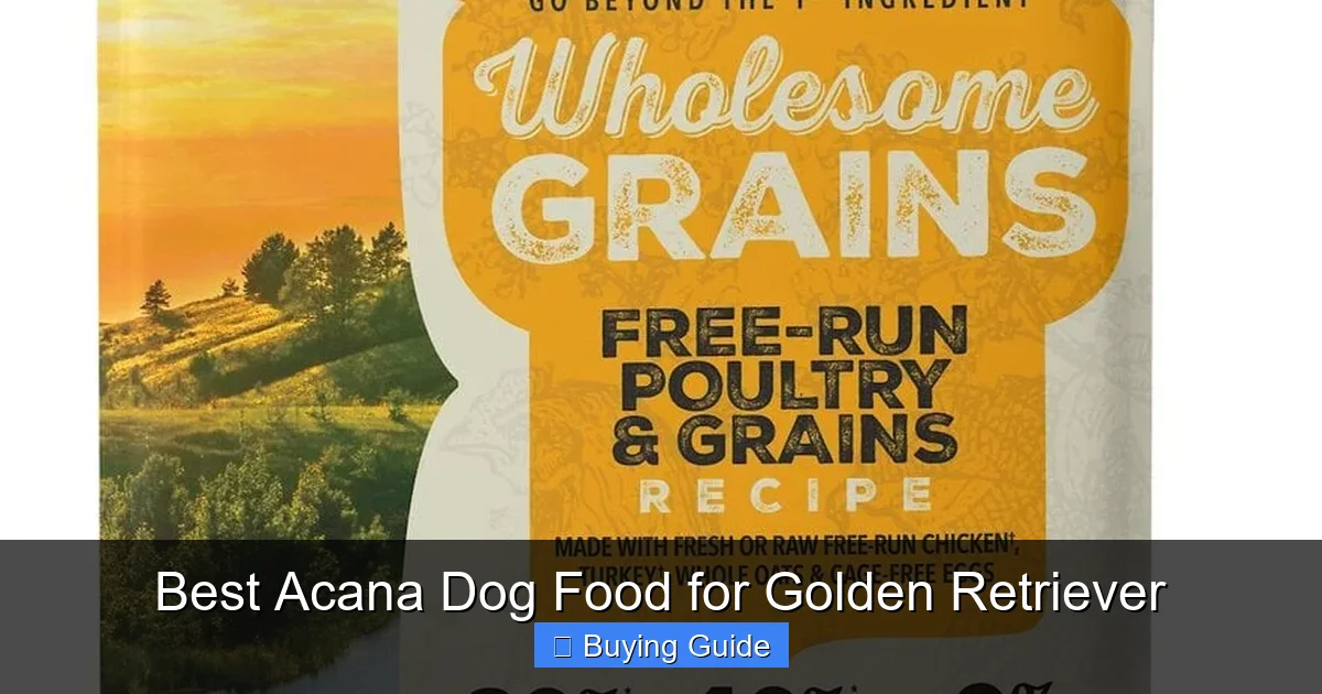 Best Acana Dog Food for Golden Retriever