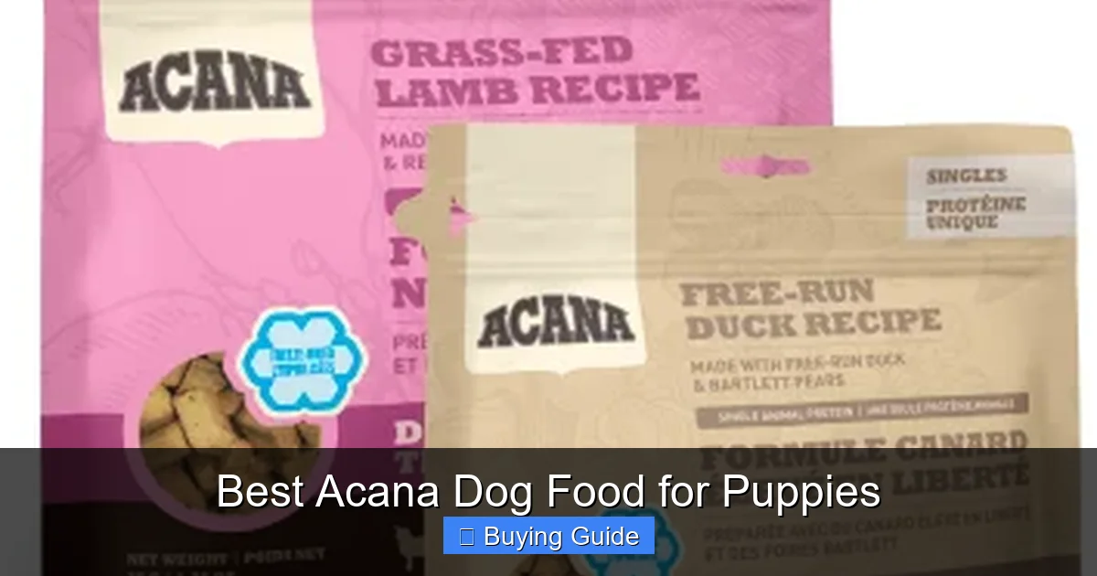 Best Acana Dog Food for Puppies