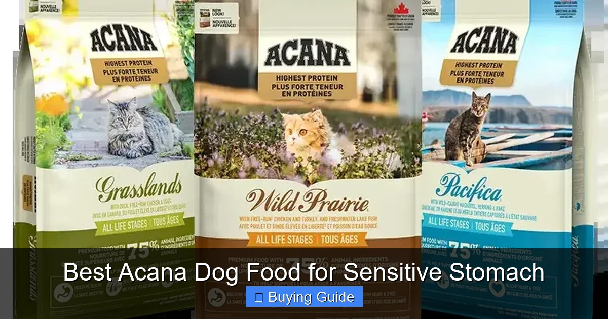 Best Acana Dog Food for Sensitive Stomach