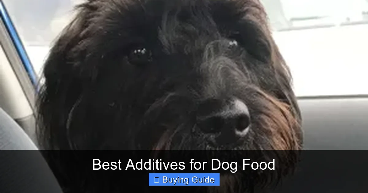 Best Additives for Dog Food