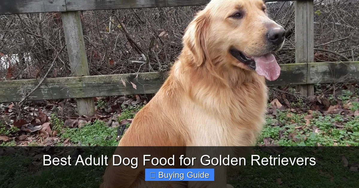 Best Adult Dog Food for Golden Retrievers
