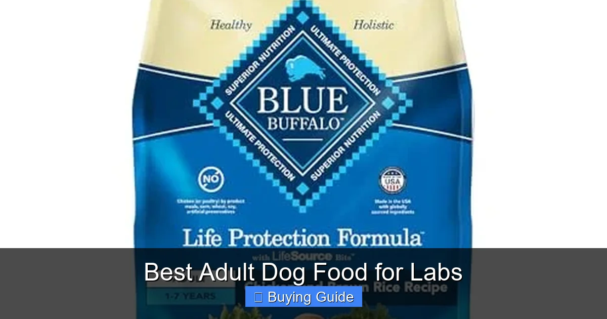 Best Adult Dog Food for Labs