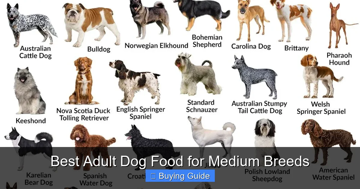 Best Adult Dog Food for Medium Breeds
