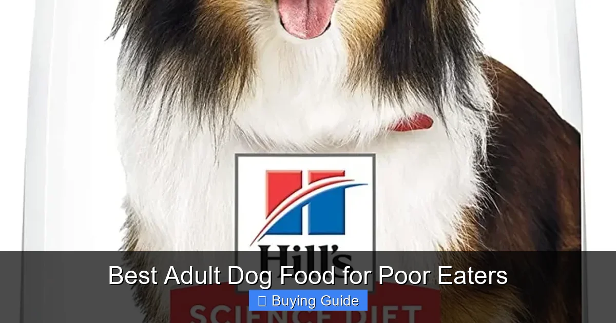 Best Adult Dog Food for Poor Eaters