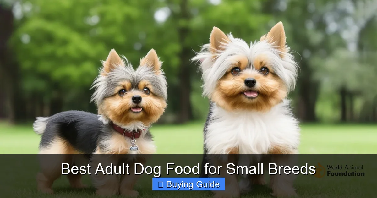 Best Adult Dog Food for Small Breeds