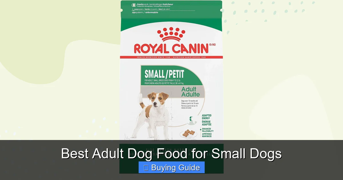 Best Adult Dog Food for Small Dogs