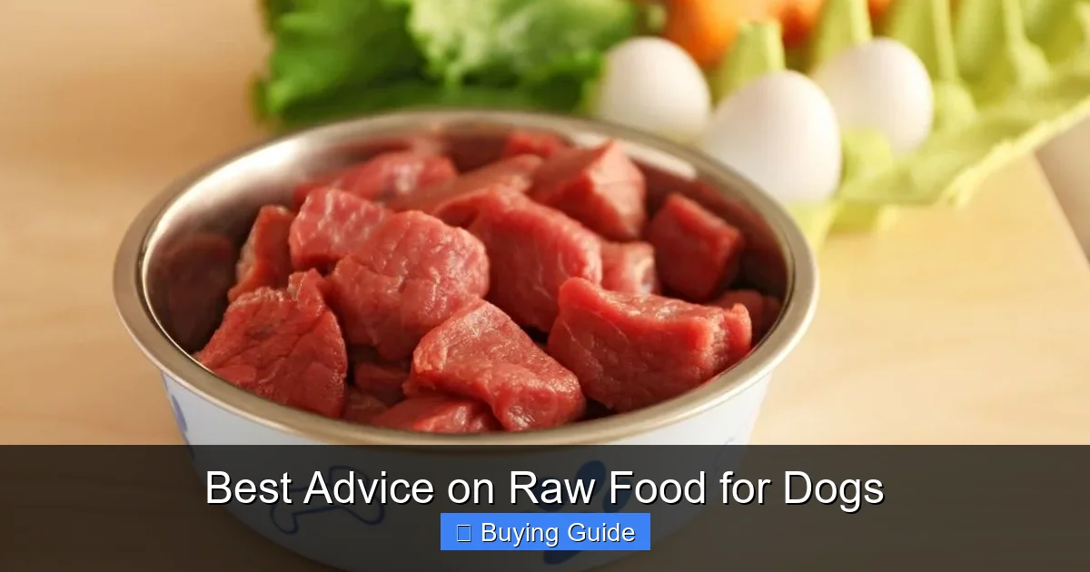 Best Advice on Raw Food for Dogs