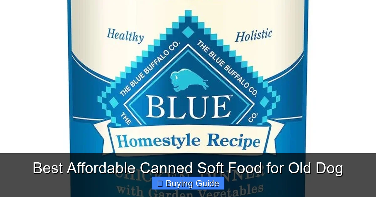 Best Affordable Canned Soft Food for Old Dog