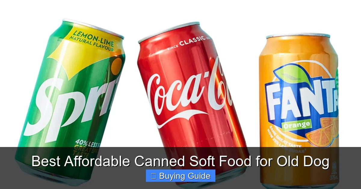 Best Affordable Canned Soft Food for Old Dog