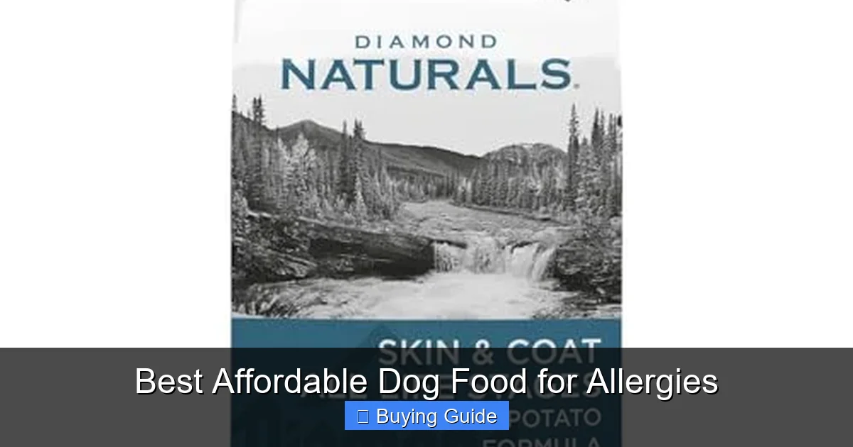 Best Affordable Dog Food for Allergies
