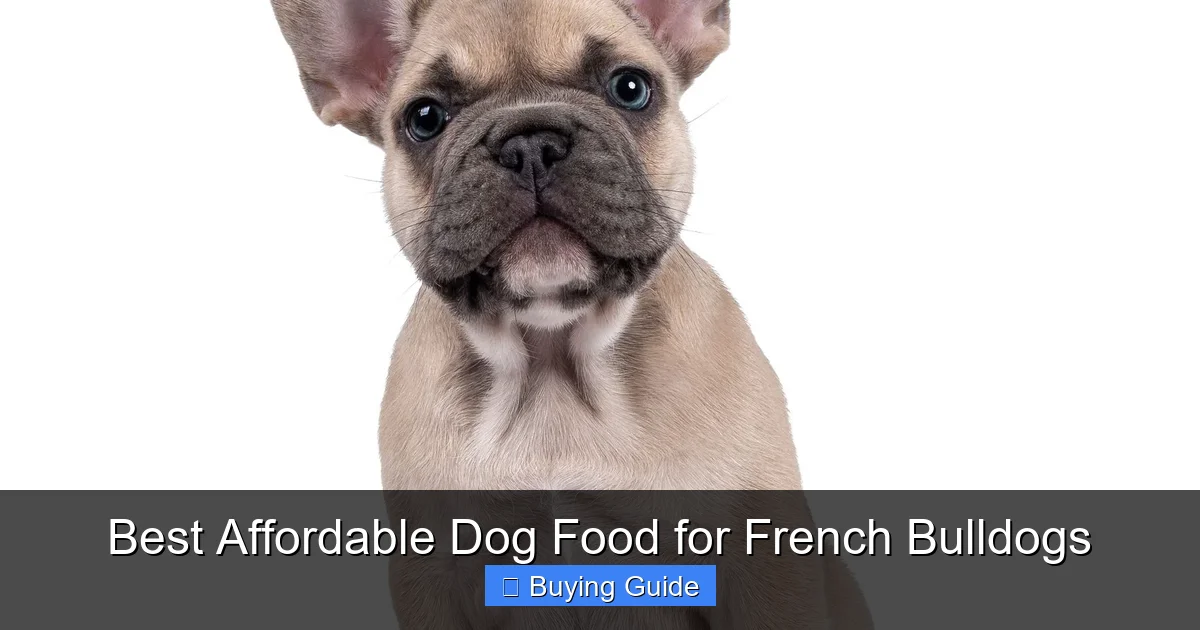 Best Affordable Dog Food for French Bulldogs