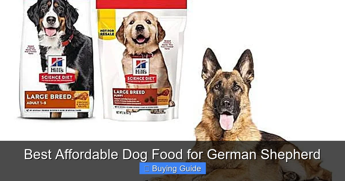 Best Affordable Dog Food for German Shepherd