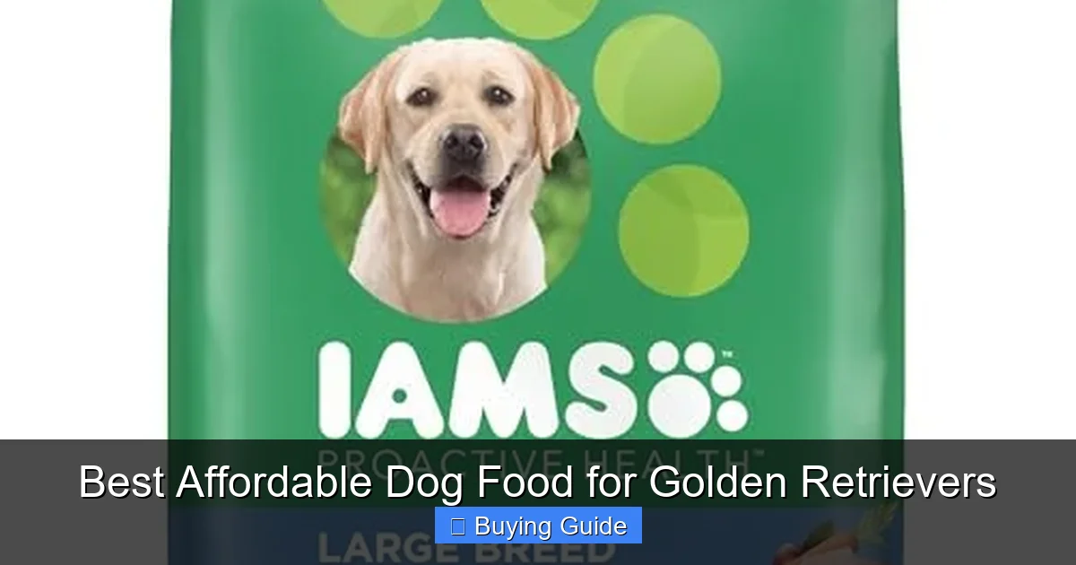 Best Affordable Dog Food for Golden Retrievers