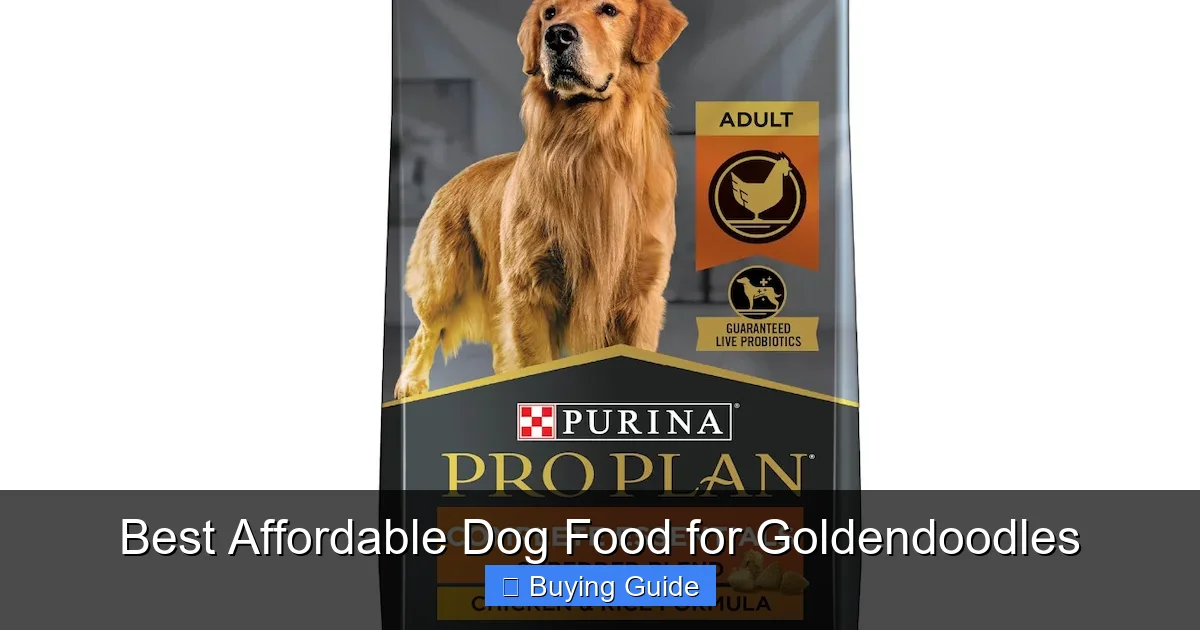 Best Affordable Dog Food for Goldendoodles