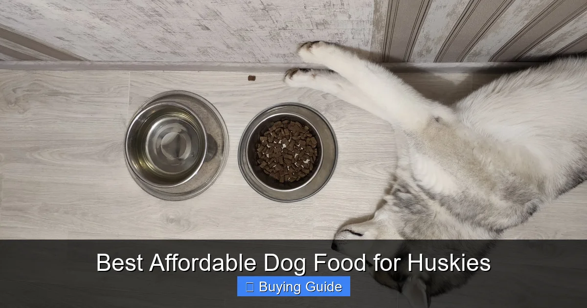 Best Affordable Dog Food for Huskies