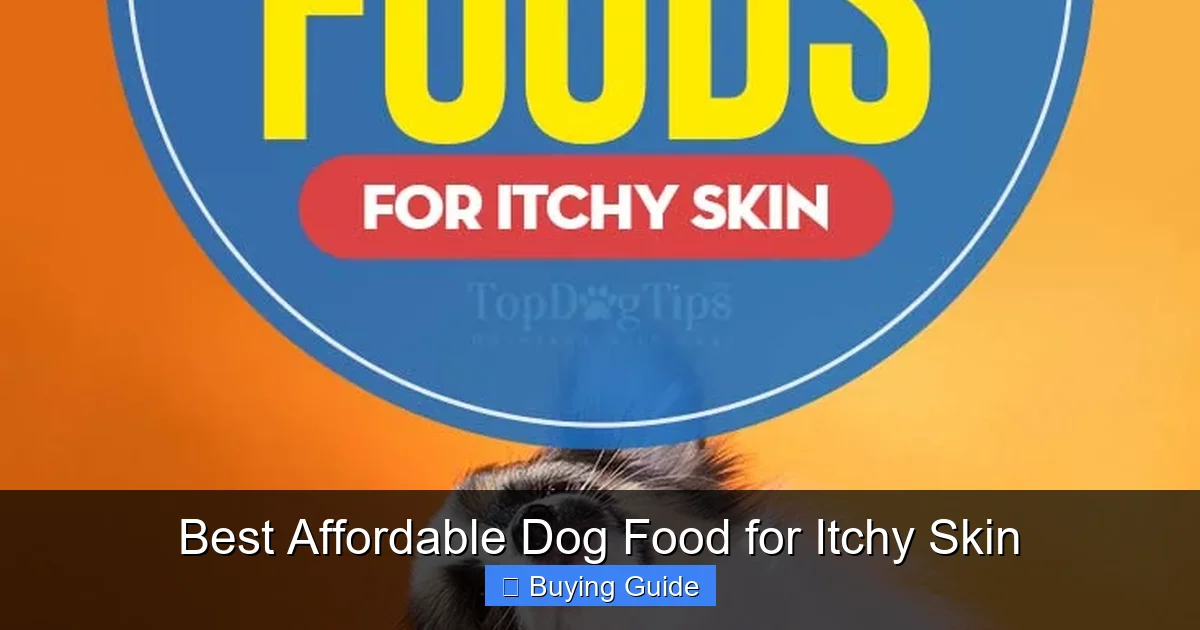 Best Affordable Dog Food for Itchy Skin