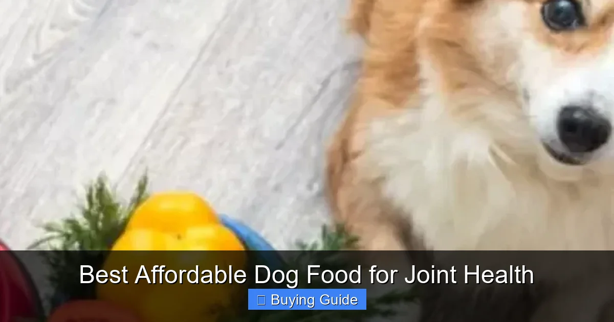 Best Affordable Dog Food for Joint Health