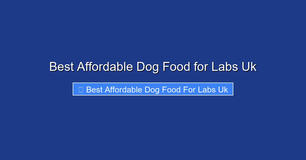 Best Affordable Dog Food for Labs Uk