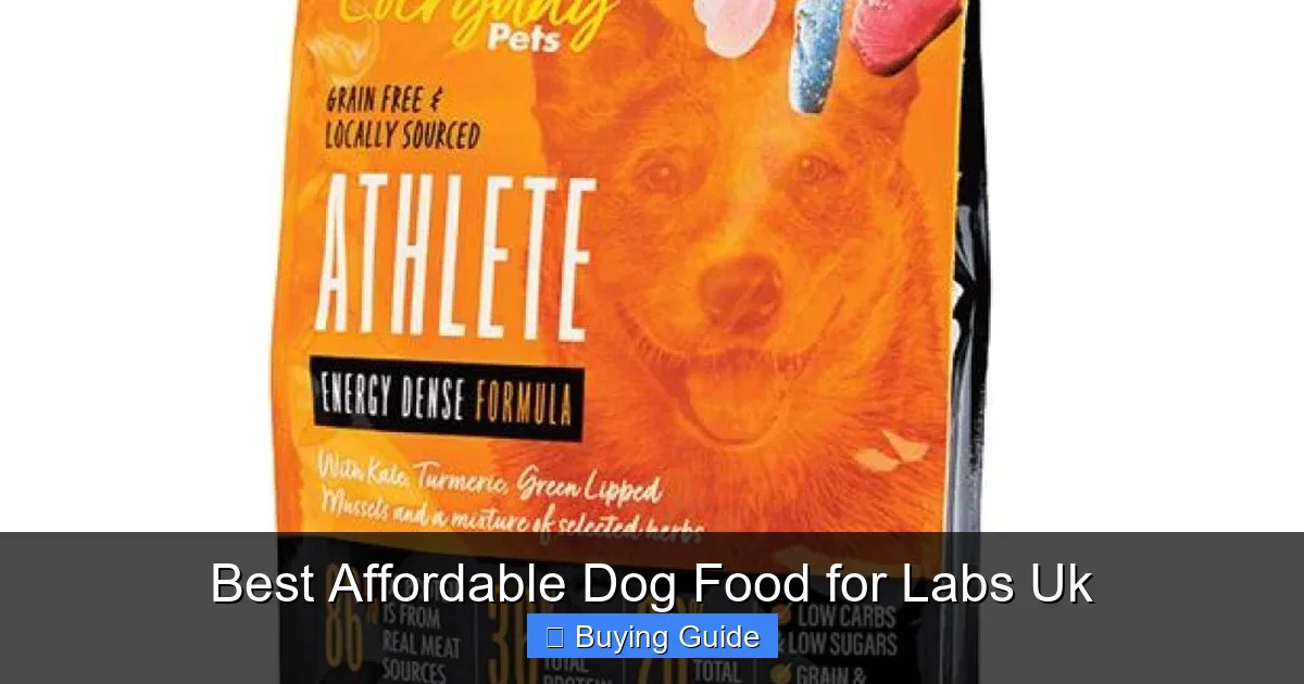 Best Affordable Dog Food for Labs Uk