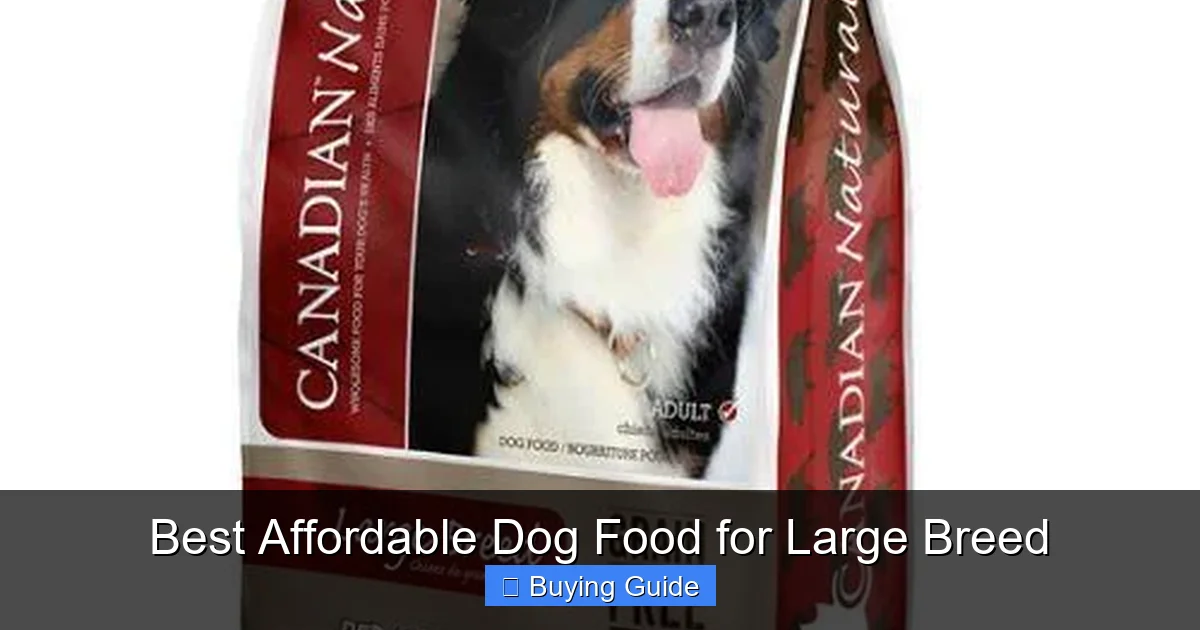 Best Affordable Dog Food for Large Breed