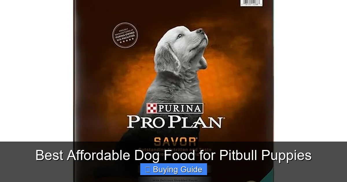 Best Affordable Dog Food for Pitbull Puppies