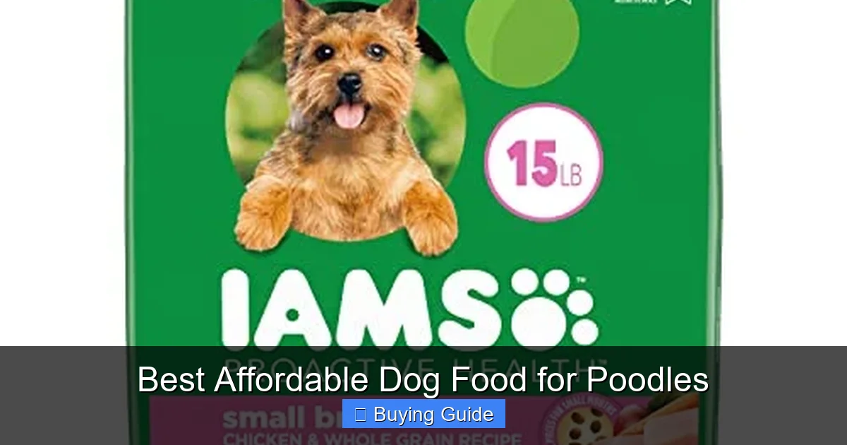 Best Affordable Dog Food for Poodles