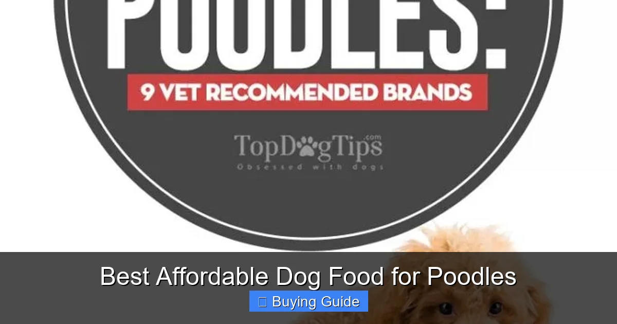 Best Affordable Dog Food for Poodles