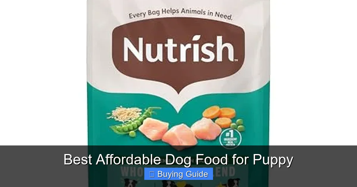 Best Affordable Dog Food for Puppy