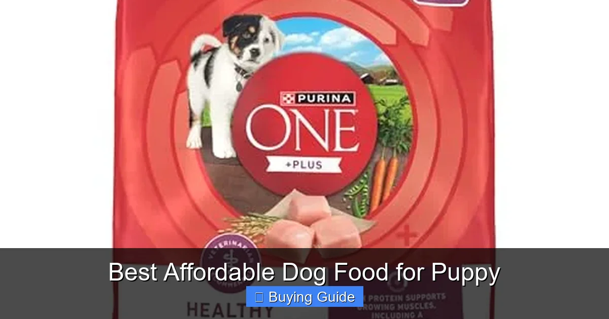 Best Affordable Dog Food for Puppy