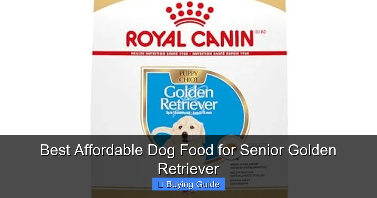 Best Affordable Dog Food for Senior Golden Retriever
