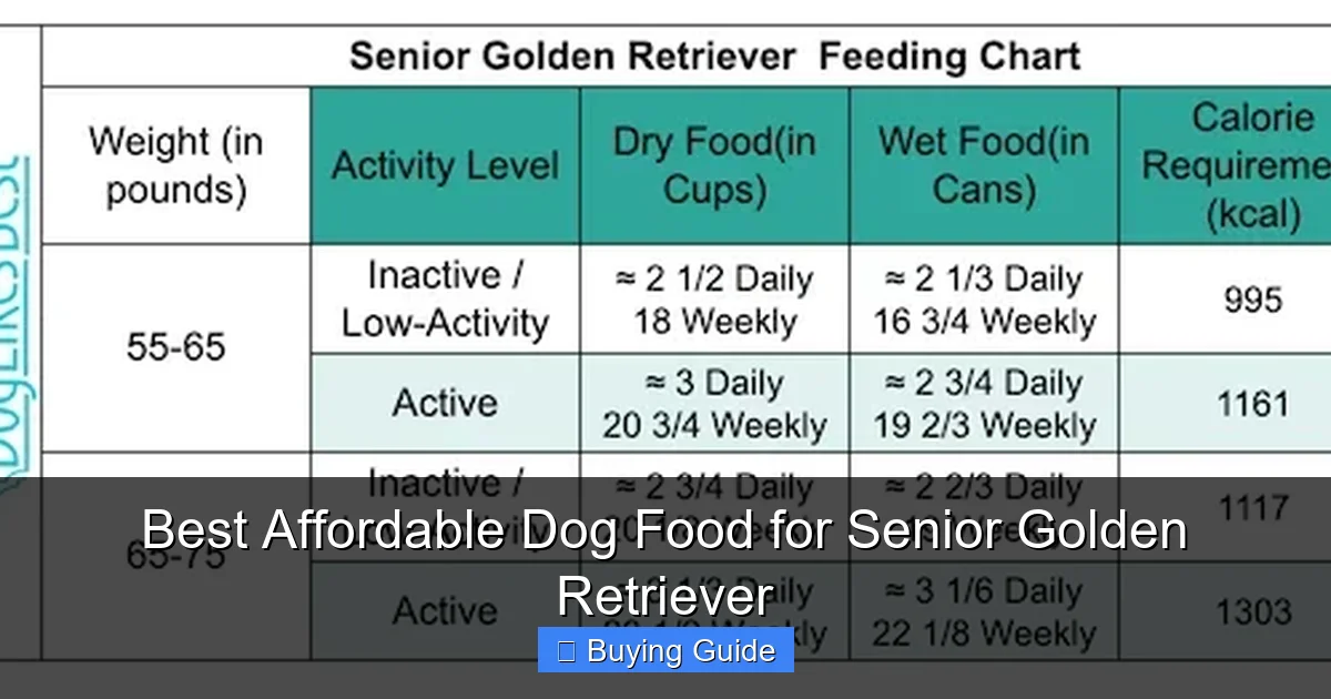 Best Affordable Dog Food for Senior Golden Retriever