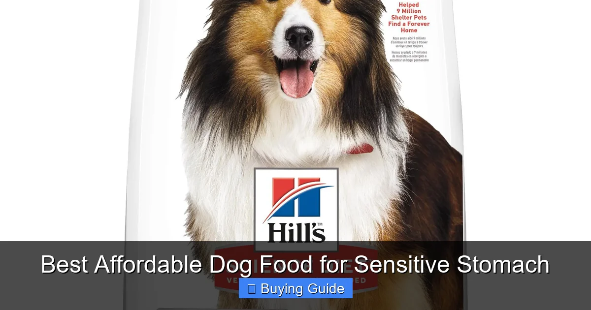 Best Affordable Dog Food for Sensitive Stomach