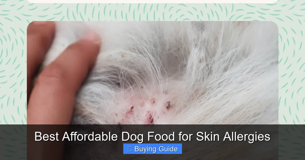 Best Affordable Dog Food for Skin Allergies