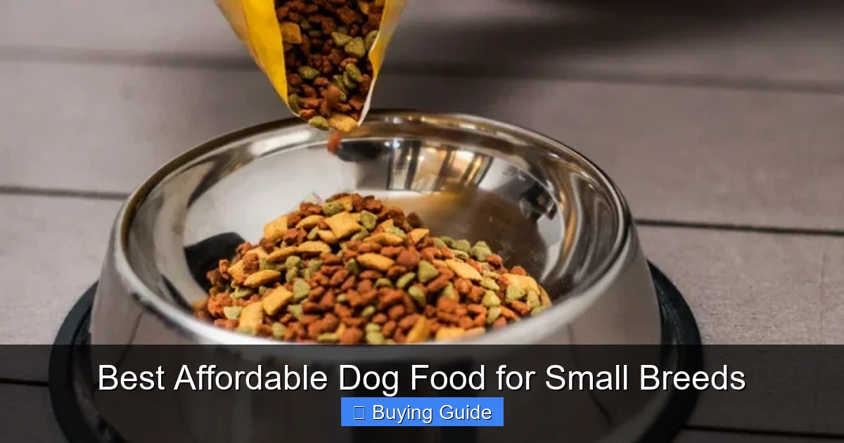 Best Affordable Dog Food for Small Breeds