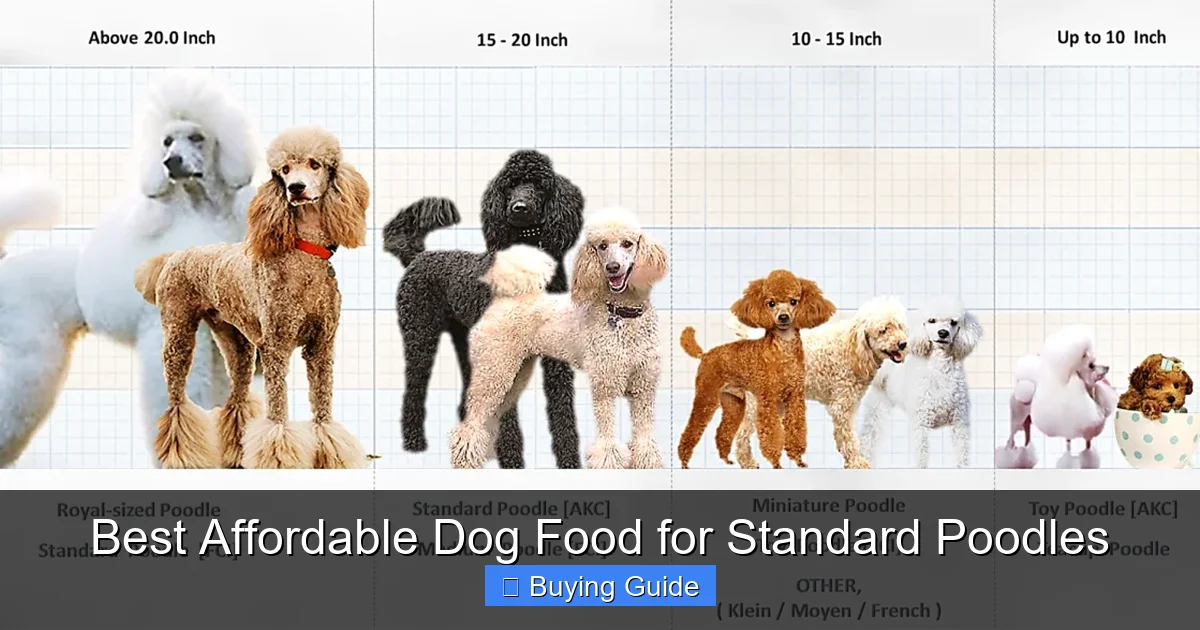 Best Affordable Dog Food for Standard Poodles