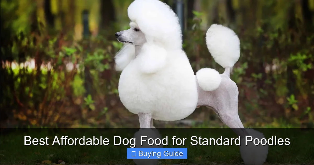 Best Affordable Dog Food for Standard Poodles