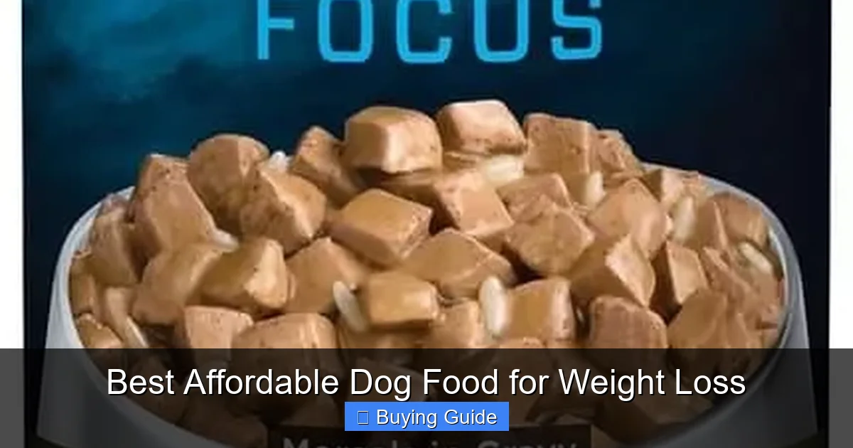 Best Affordable Dog Food for Weight Loss