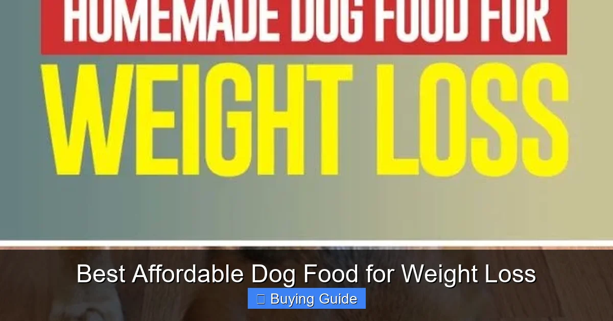 Best Affordable Dog Food for Weight Loss