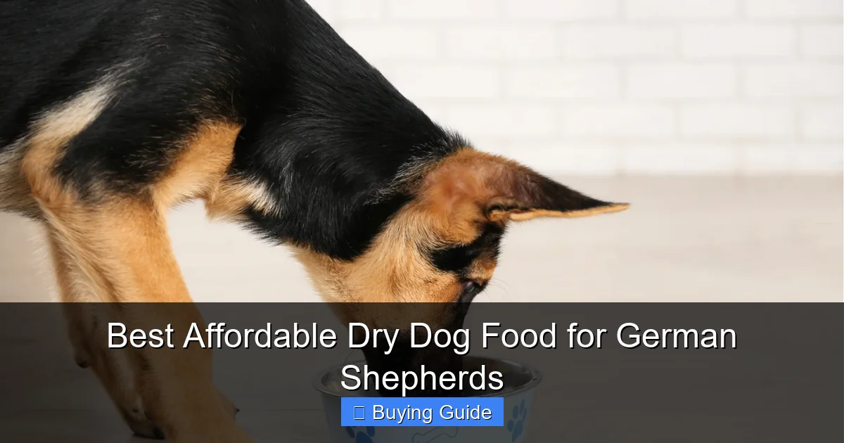 Best Affordable Dry Dog Food for German Shepherds